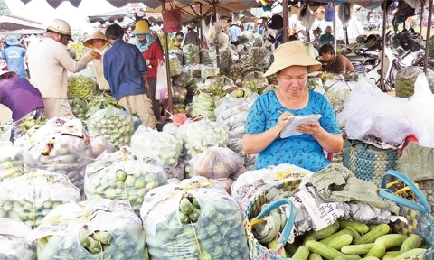 Hợp Tác với nhà vườn thu mua nông sản