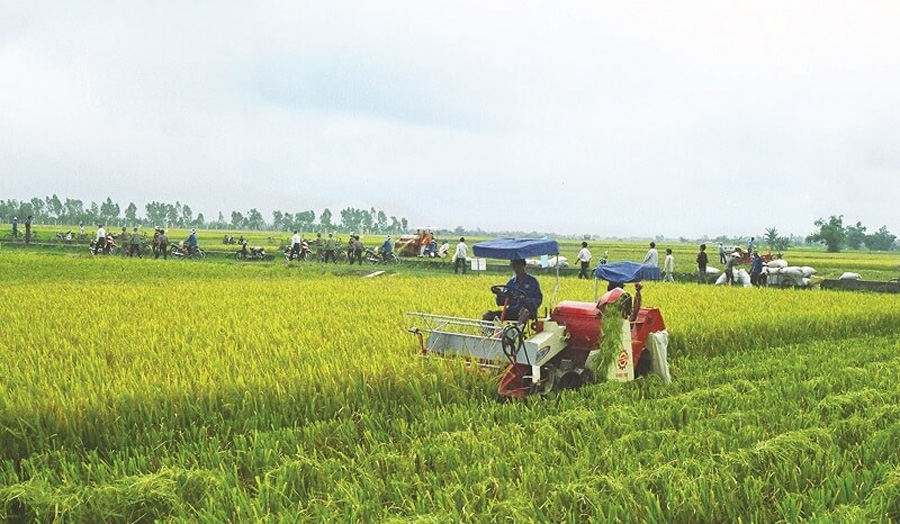 DỊCH VỤ NÔNG NGHIỆP LÀ GÌ?