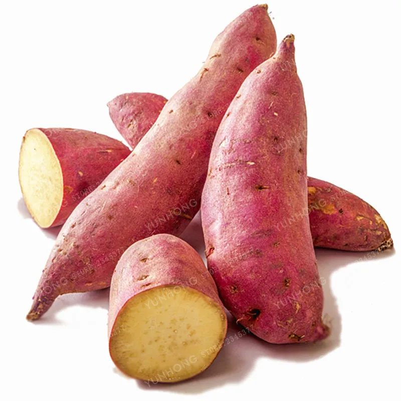 Khoai lang Nhật